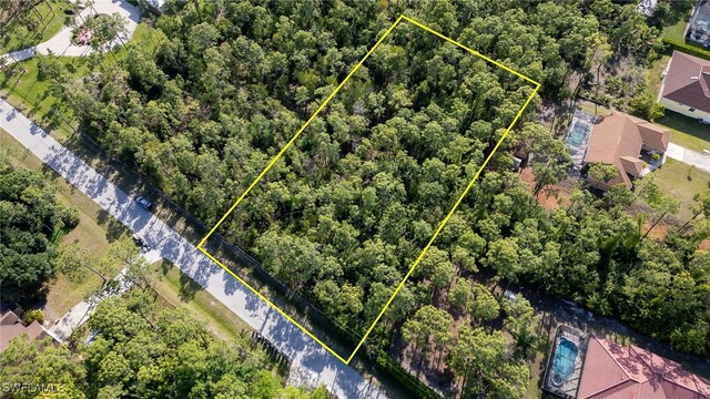25188 Papillion Dr, Bonita Springs, FL 34135 - photo 4