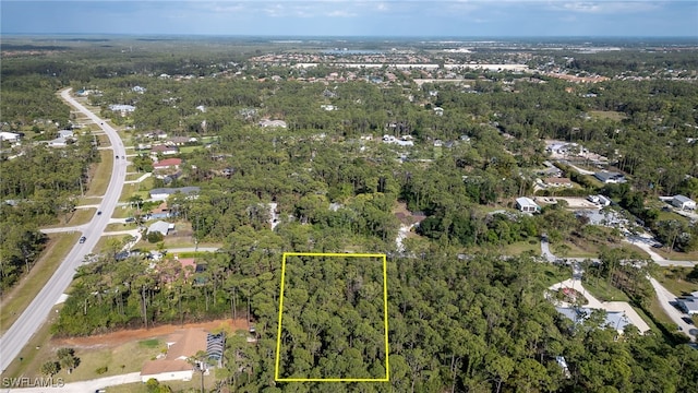 25188 Papillion Dr, Bonita Springs, FL 34135 - photo 5