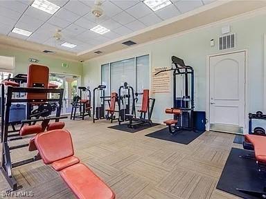 gym featuring crown molding, carpet flooring, a drop ceiling, and a wealth of natural light