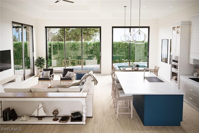 interior space featuring a healthy amount of sunlight, sink, and light wood-type flooring