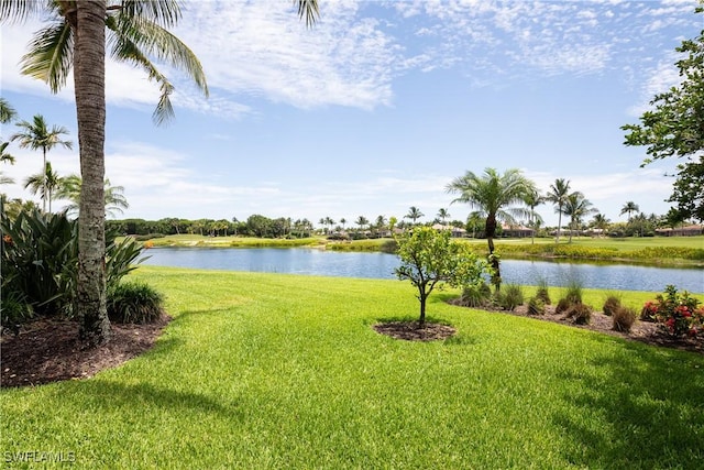 water view