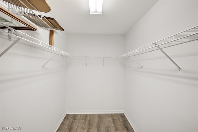 walk in closet featuring wood-type flooring