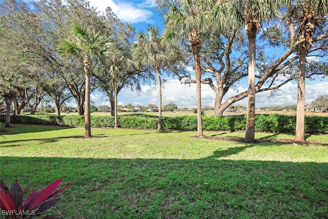 view of yard with a rural view