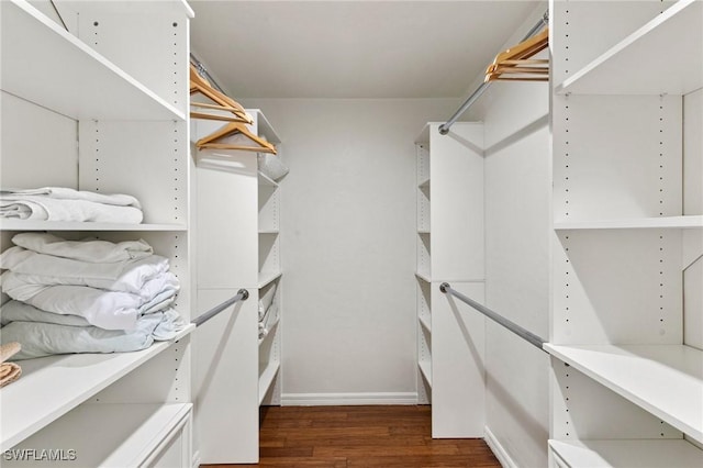 spacious closet featuring dark hardwood / wood-style floors