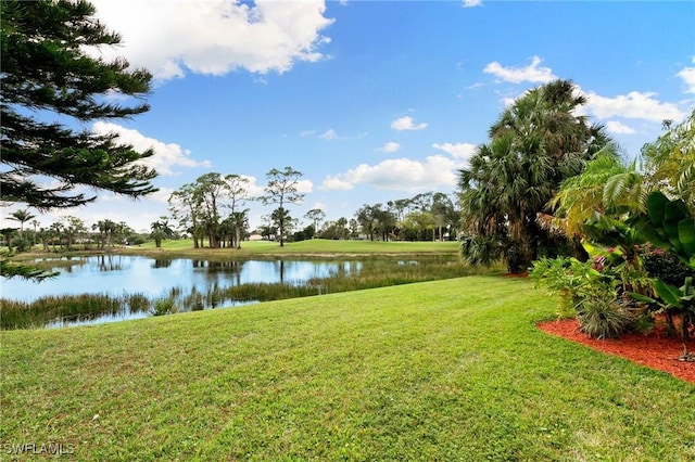 view of yard with a water view