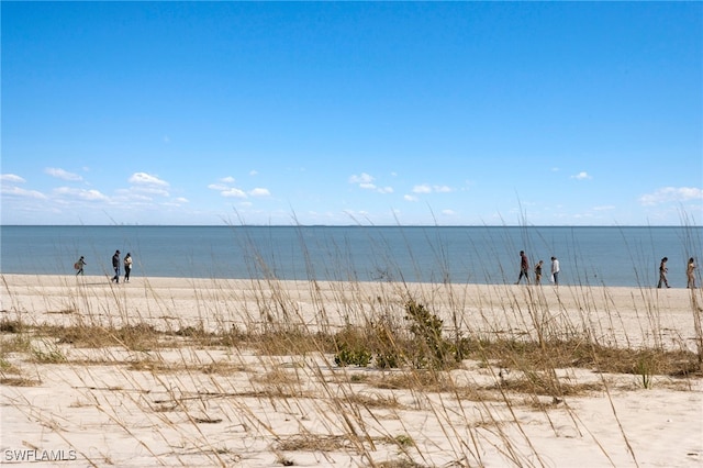 view of water feature with a beach view