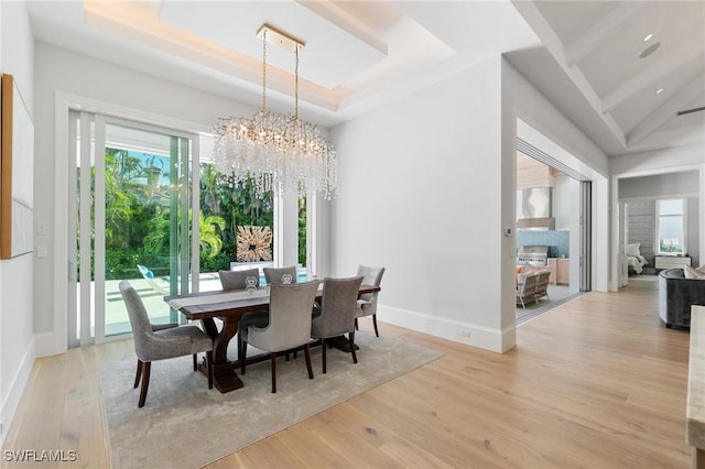 dining space featuring a tray ceiling, light hardwood / wood-style flooring, and a healthy amount of sunlight