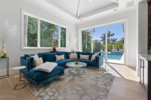 living room featuring plenty of natural light, a raised ceiling, and light wood-type flooring