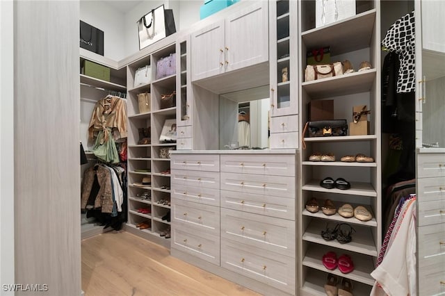 spacious closet featuring light wood-type flooring