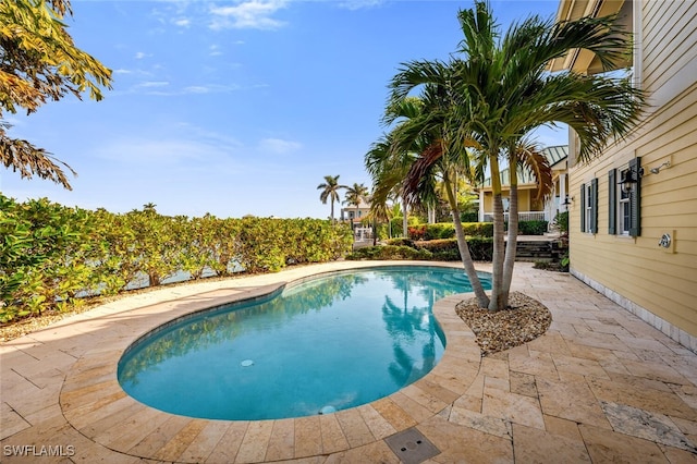 view of swimming pool with a patio area