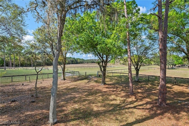 view of yard with a rural view