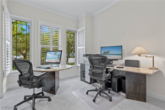 office featuring baseboards, carpet, and crown molding