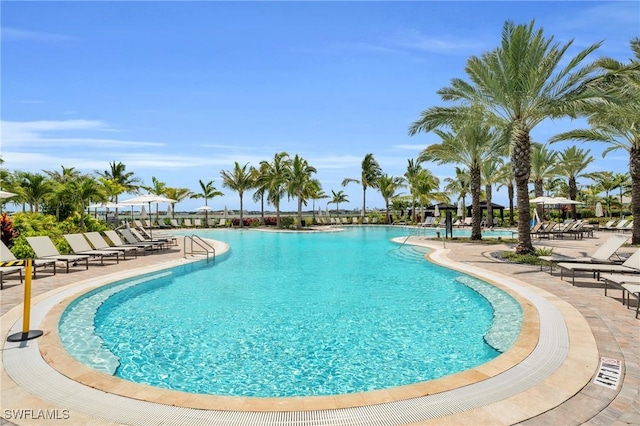 view of pool featuring a patio