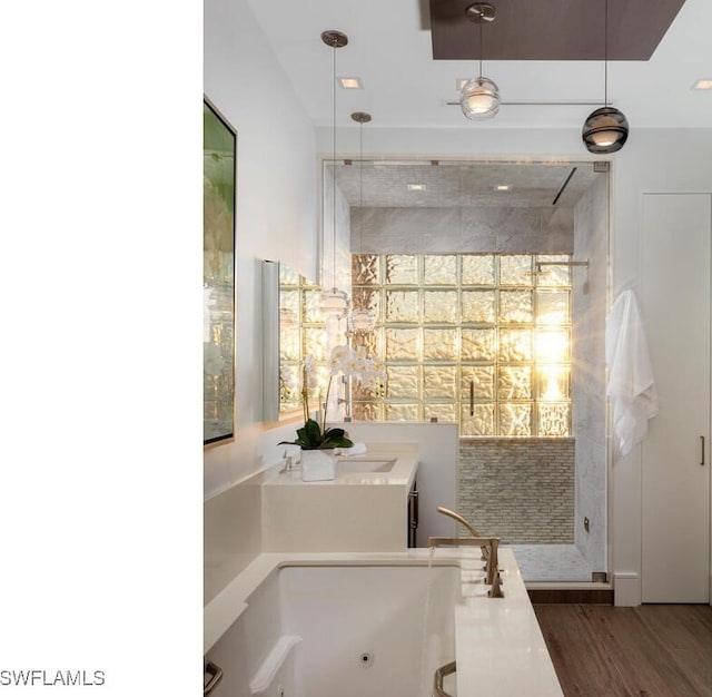 bathroom with wood-type flooring