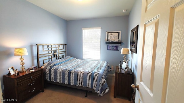 bedroom with carpet flooring