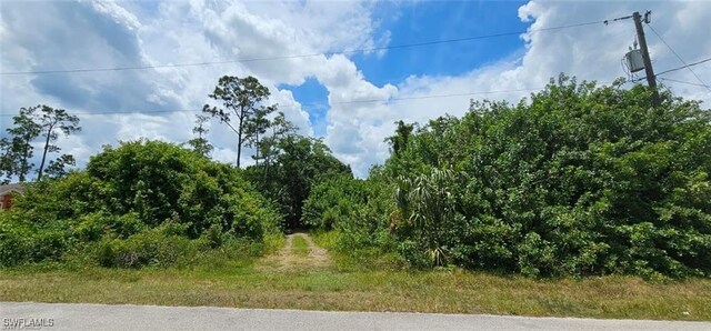 1911 Mercer Ave, Lehigh Acres FL, 33972 land for sale