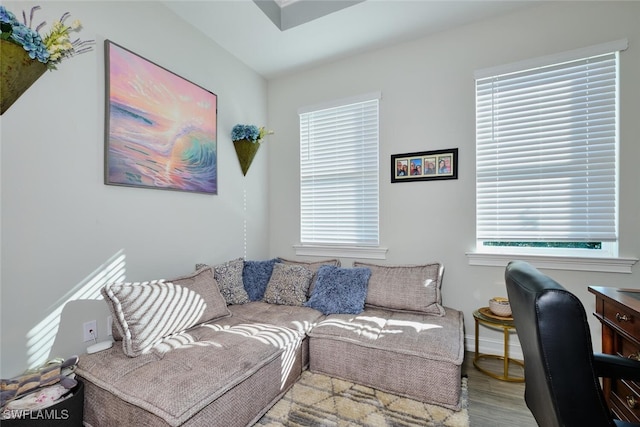 living room with hardwood / wood-style floors