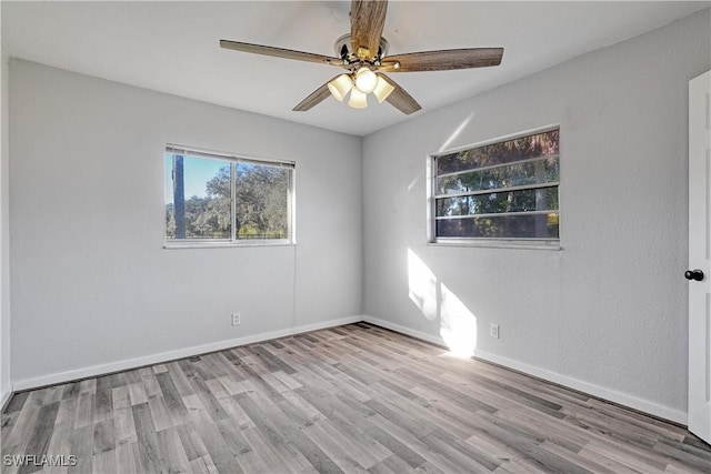 empty room with ceiling fan and light hardwood / wood-style flooring