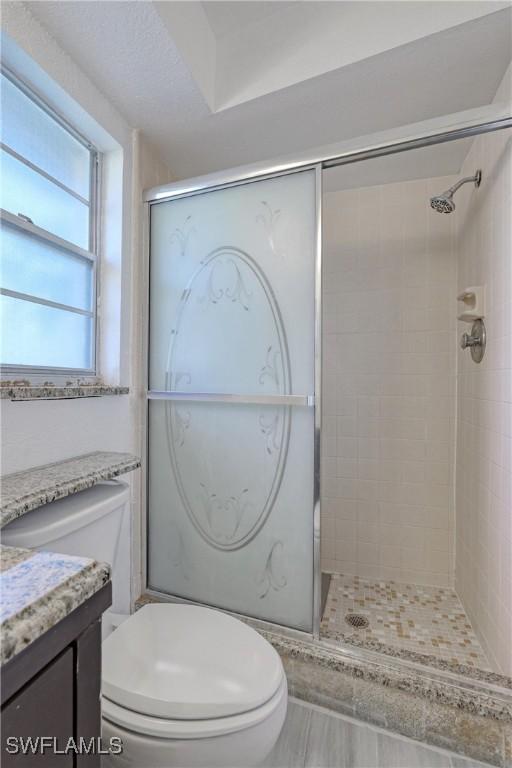 bathroom with vanity, an enclosed shower, and toilet