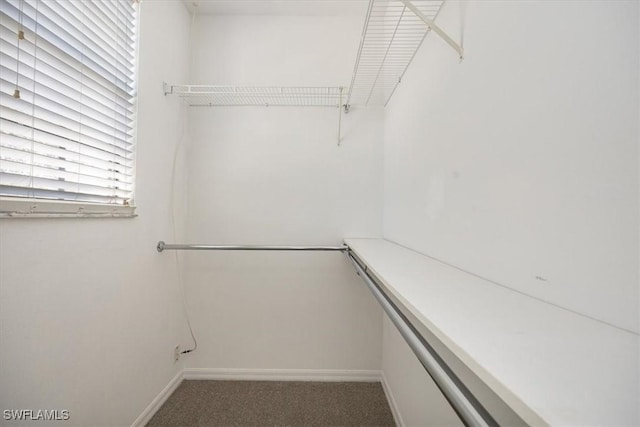 spacious closet with dark carpet