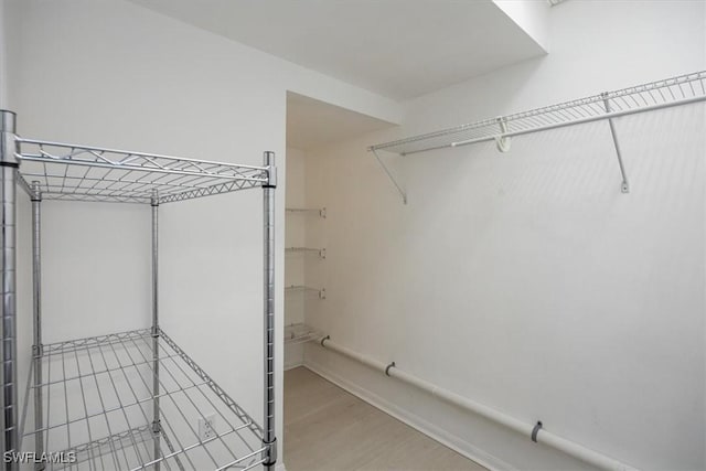 spacious closet featuring light wood-style floors