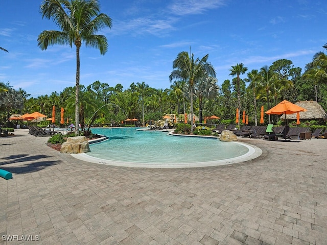 view of pool with a patio