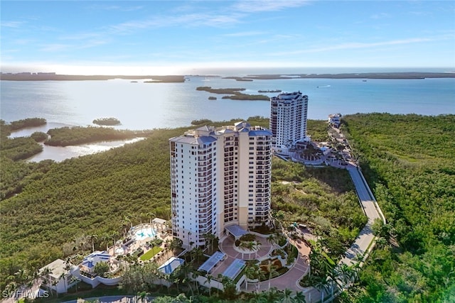 bird's eye view with a water view