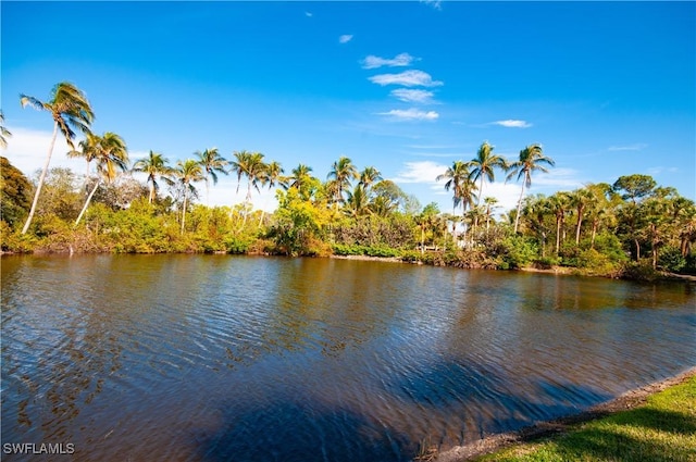 property view of water