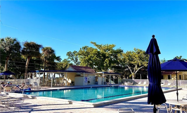 view of swimming pool featuring a patio area