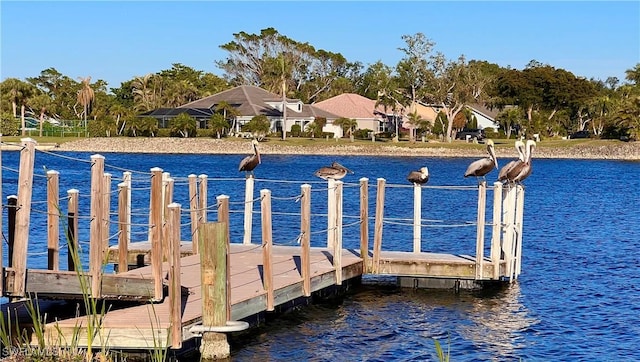 dock area with a water view