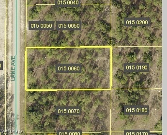 1312 Lake Ave, Lehigh Acres, FL 33972