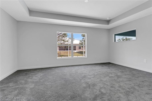 carpeted spare room with a wealth of natural light and a raised ceiling