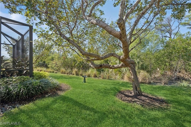 view of yard featuring a lanai