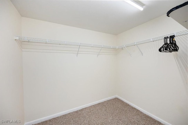 walk in closet with carpet flooring