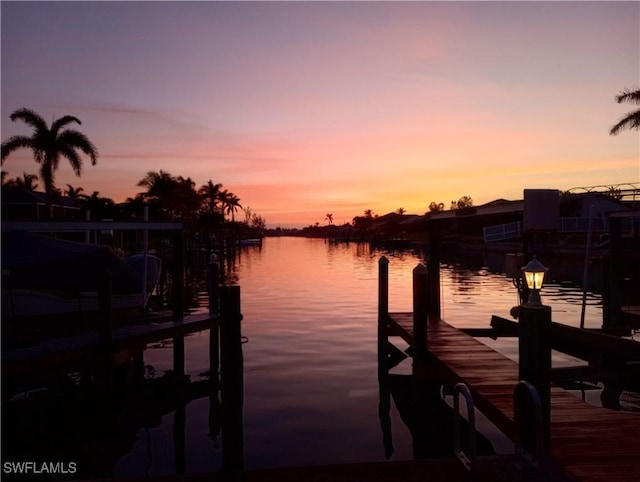 dock area with a water view