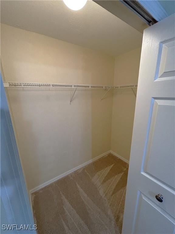 walk in closet with carpet