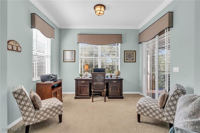 carpeted office featuring ornamental molding and a wealth of natural light