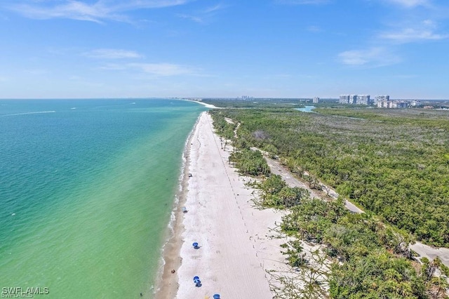 bird's eye view with a water view and a view of the beach