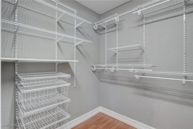 walk in closet with wood-type flooring