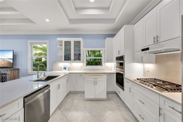 kitchen with white cabinetry, stainless steel appliances, a tray ceiling, and sink