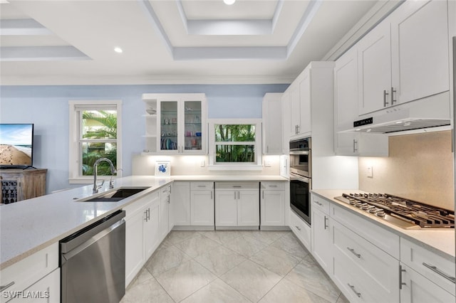 kitchen featuring white cabinetry, stainless steel appliances, a raised ceiling, and sink