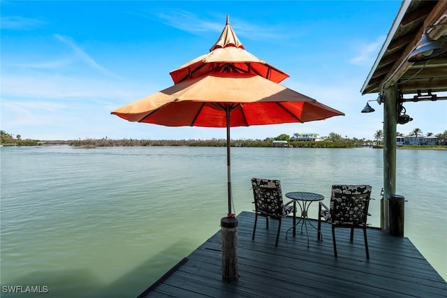 dock area with a water view