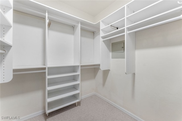 spacious closet featuring carpet flooring