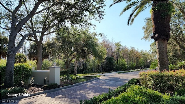 view of street featuring curbs