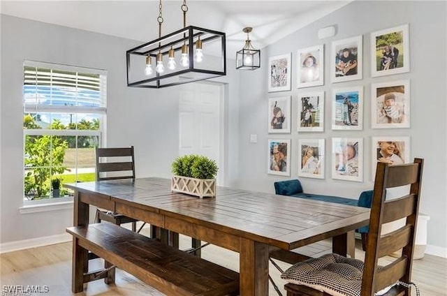 dining room with light hardwood / wood-style floors