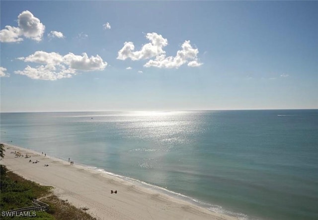 water view with a view of the beach