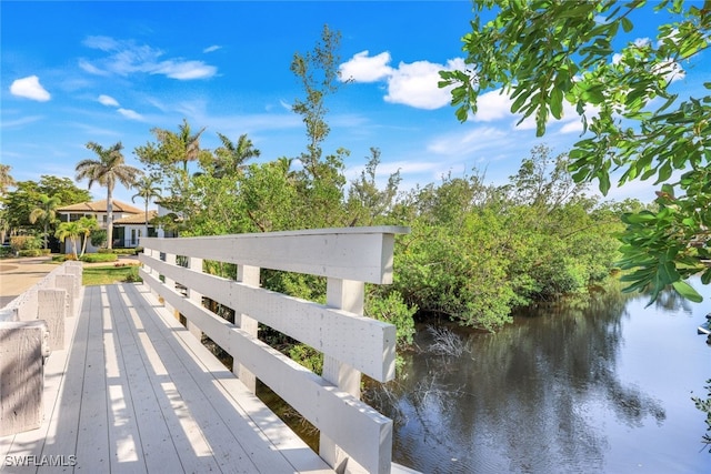 dock area with a water view