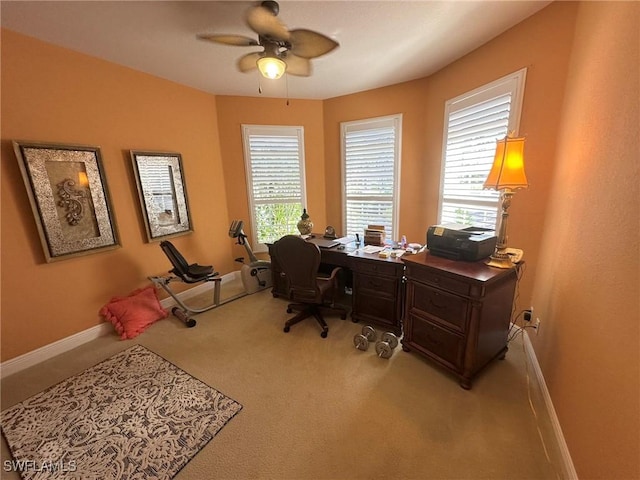 28880 Kiranicola Ct, Bonita Springs, FL 34135 - carpeted office space with baseboards and a ceiling fan