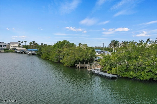 view of water feature with a boat dock