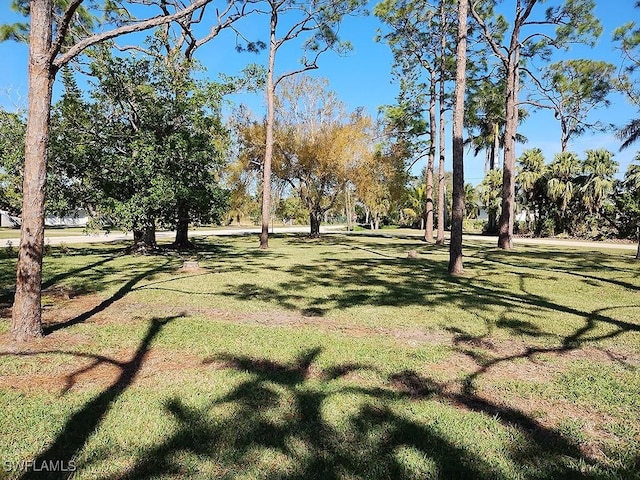 exterior space featuring a lawn